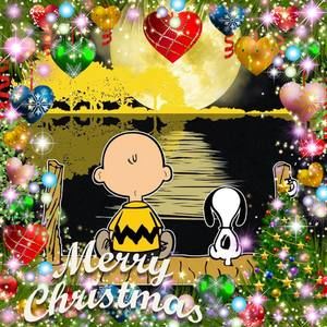 Meet your Posher, Joey